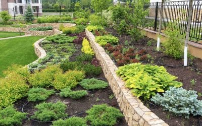 Best Landscaping Ideas for Your Backyard